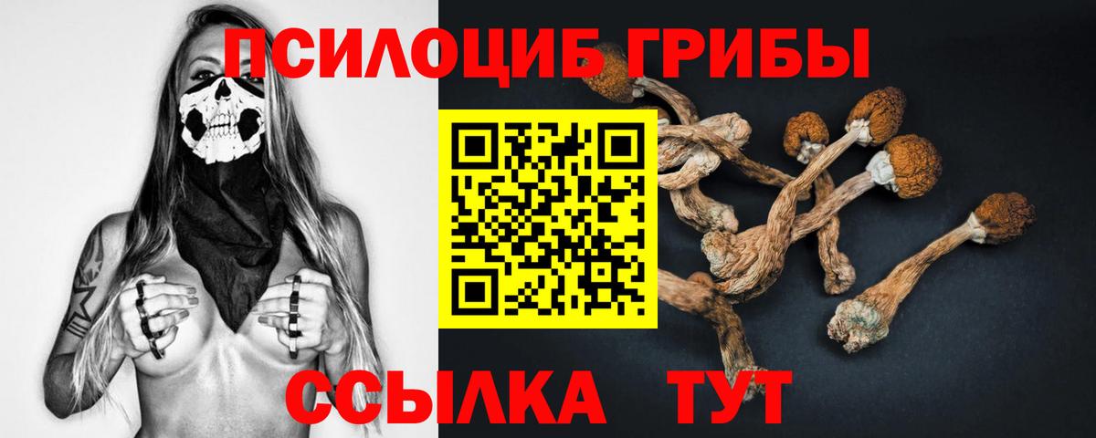 Лесосибирск  Галлюциногенные грибы Magic Shrooms  магазин    Вход с VPN 